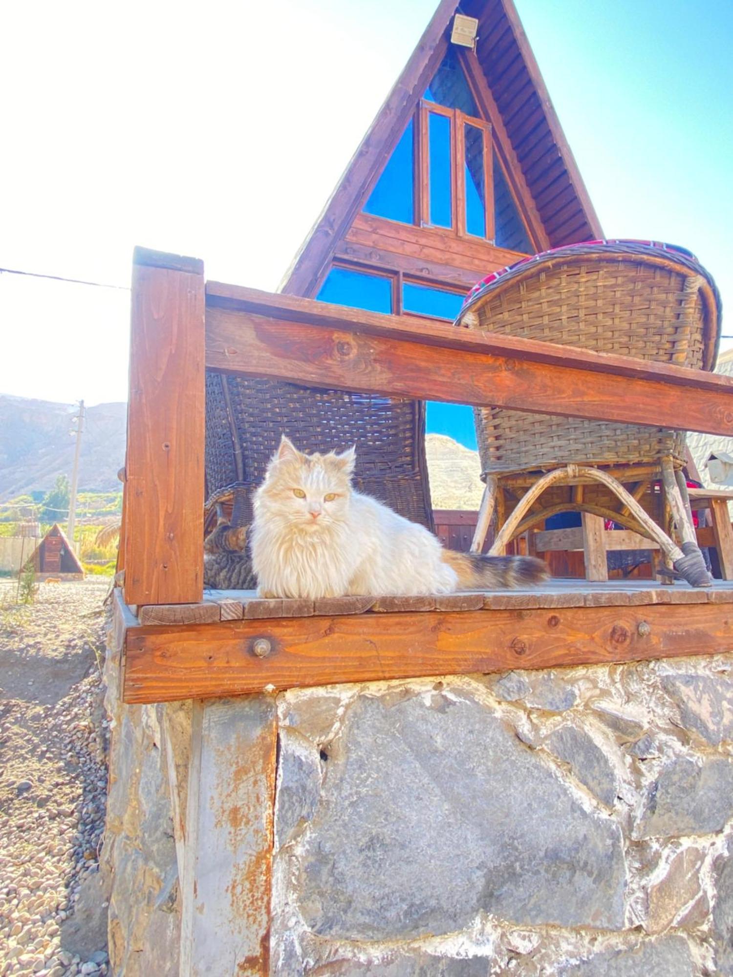 Wadi Al-Hassa Camp Khawkhah Exterior foto
